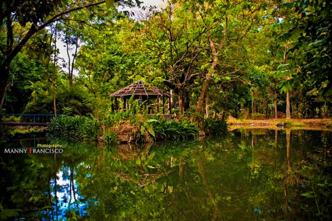 4515870655_c5143cd2d3_z