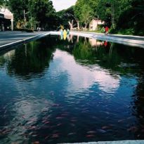 11848920_1440929456237699_916849157_n